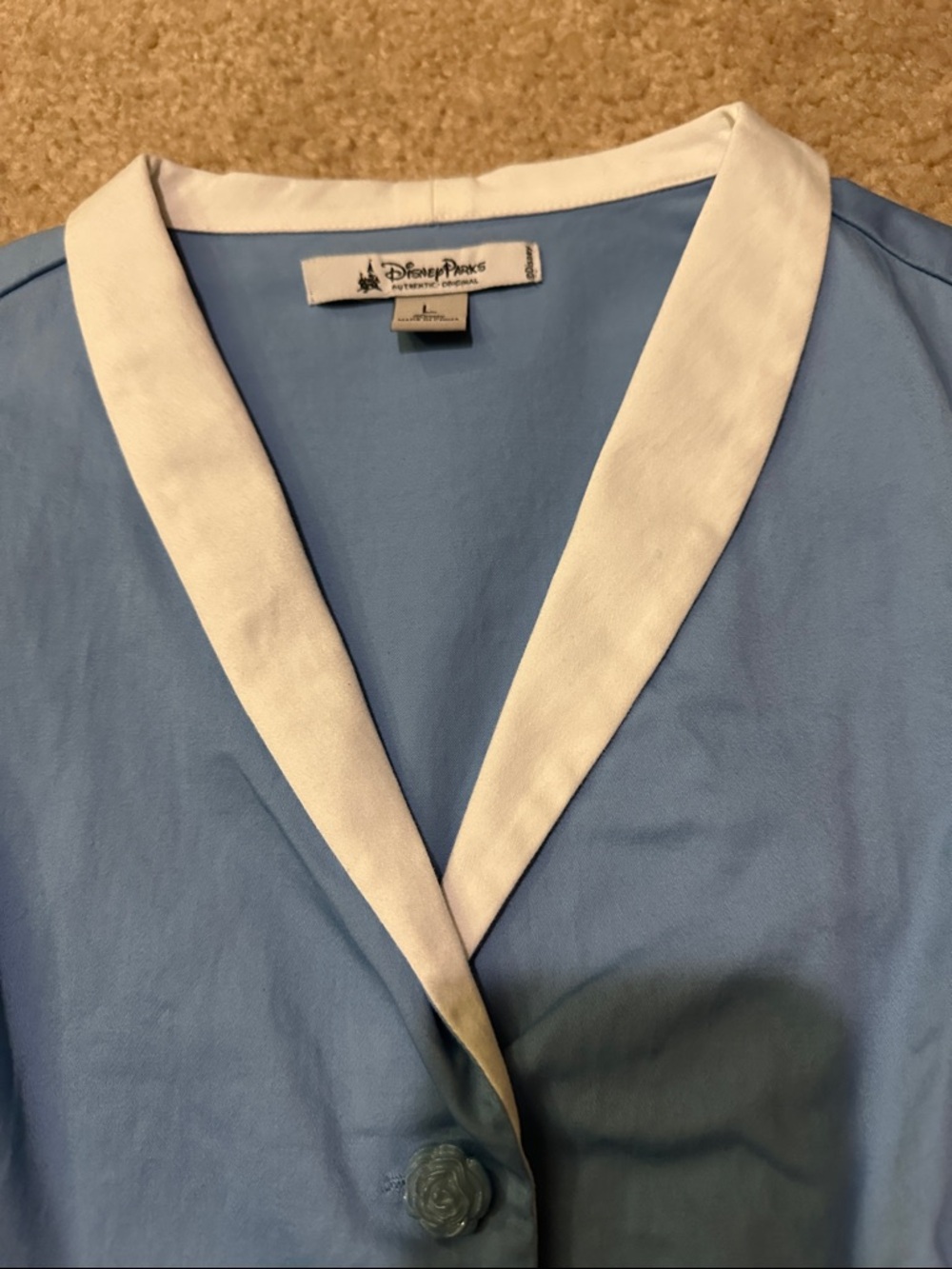 Disney Parks Beauty & the Beast Inspired Belle Light Blue Collared Dress w Books - Picture 3 of 16